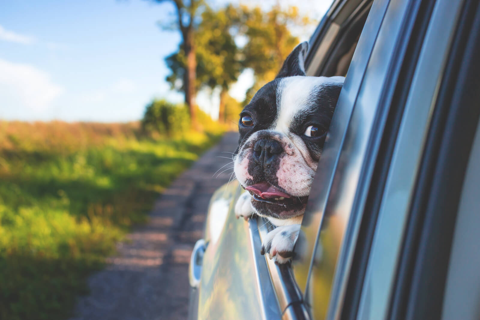 Does my car insurance cover shopping cart damage?